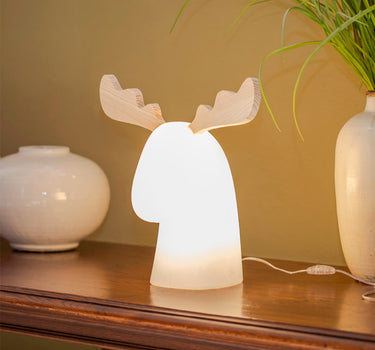 LAMPE RUDY | USAGE INTÉRIEUR