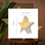 ÉTOILE DÉCORATIVE SISINE STAR 60