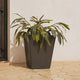 POT DE FLEURS CALÉNDULA 50 RUSTIQUE