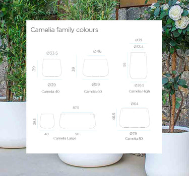 CAMELIA 60 TERRACOTA