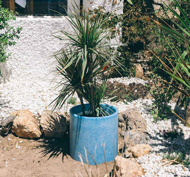 CIRCOOLAR POT DE FLEURS HORTENSIA Matériau Recyclé