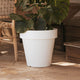 GRAND POT MAGNOLIA 60