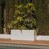 JARDINIÈRE OLIVO LARGE